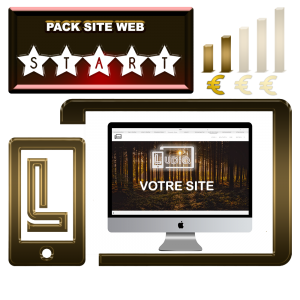 Site web budget serré